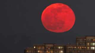 赤い月 赤い月 - 月世界への招待